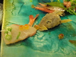 DSC01301.JPG
